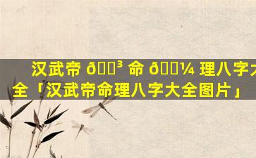 汉武帝 🌳 命 🐼 理八字大全「汉武帝命理八字大全图片」